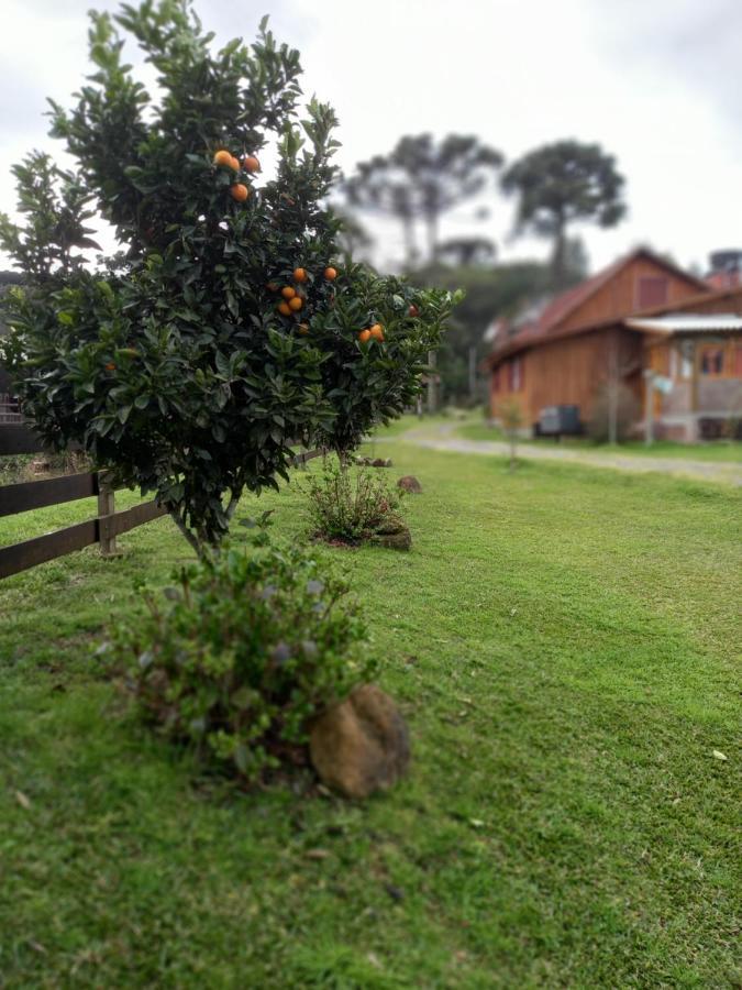 Sitio Cabanas Da Lu Canela Exterior foto